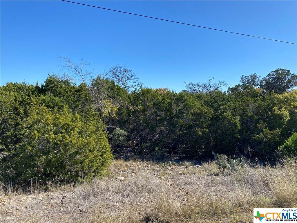 216 Freedom Street - Photo 1