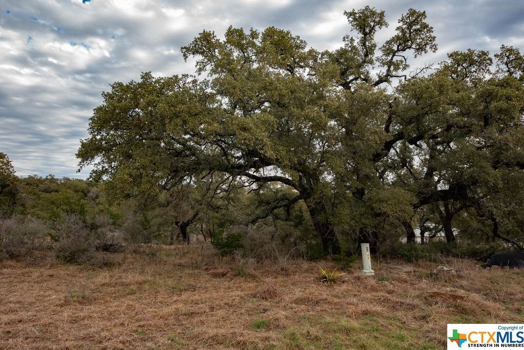 https://bt-photos.global.ssl.fastly.net/centraltx/orig_boomver_2_532872-2.jpg