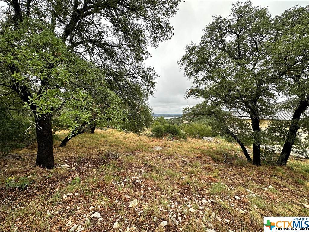 820 Mountain Dew - Photo 1