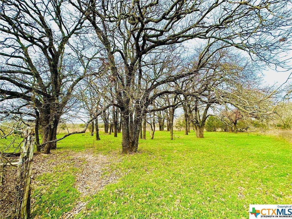 TBD 2 County Rd 107 - Photo 1