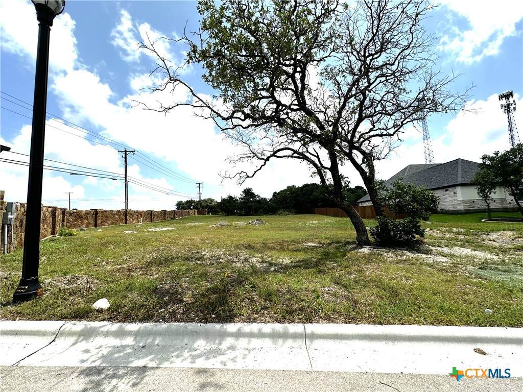 7003 Troyan Lane - Photo 1