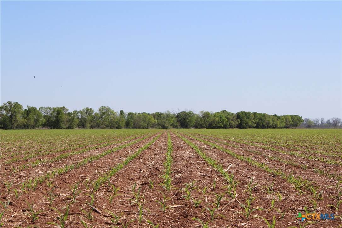 TBD County Road 301 - Photo 1