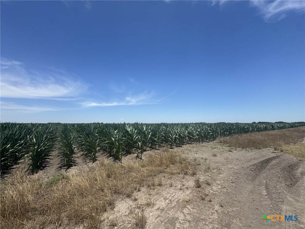 TBD Cr 335 Road - Photo 1