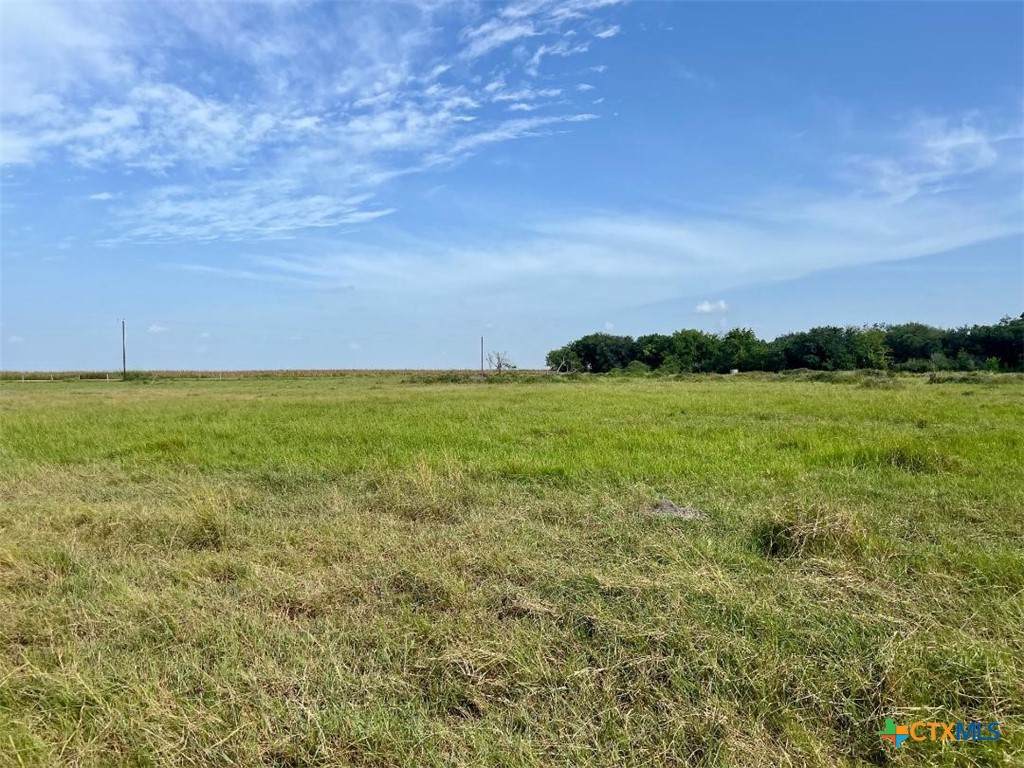 01 County Road 220 - Photo 1