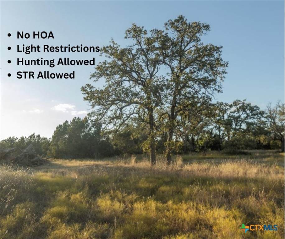 18.145 Acres Herber-Schaefer Road - Photo 1