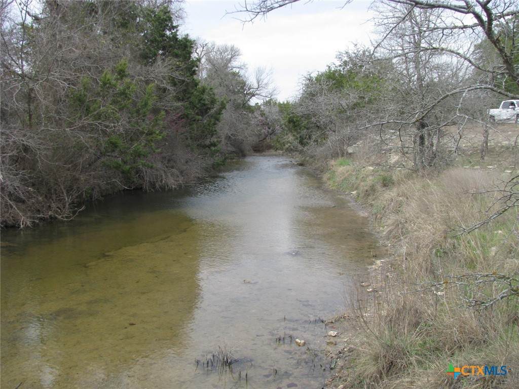 125 Acres Harmon Road - Photo 1