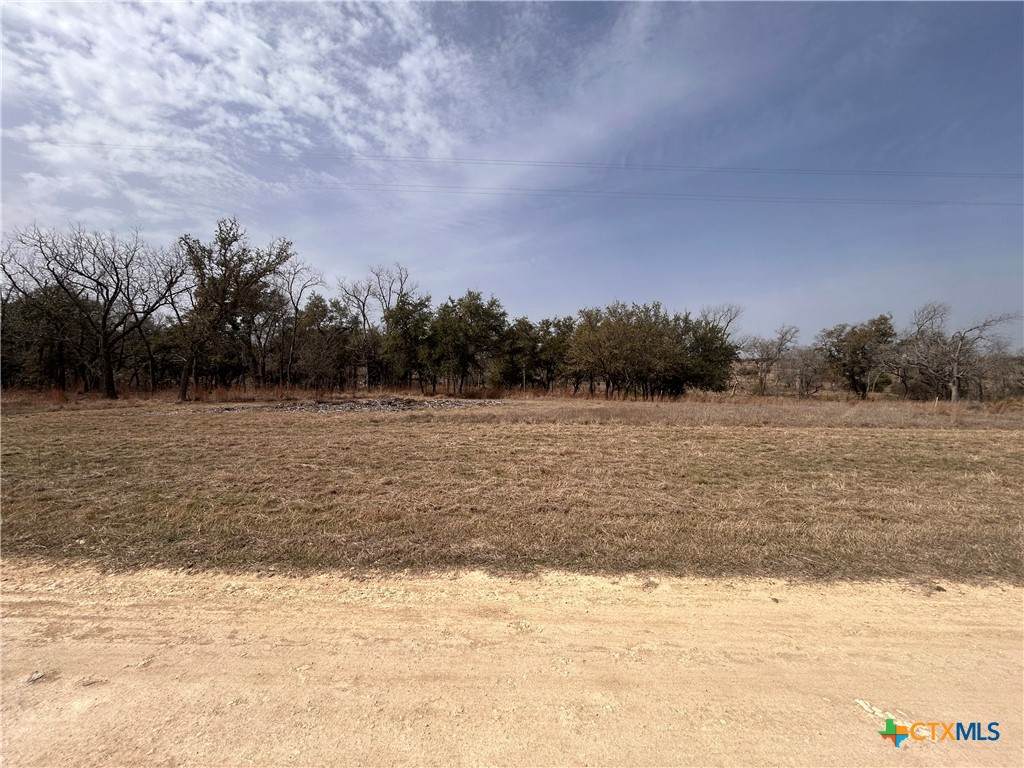 13203 Private Rd 3642 Road - Photo 1