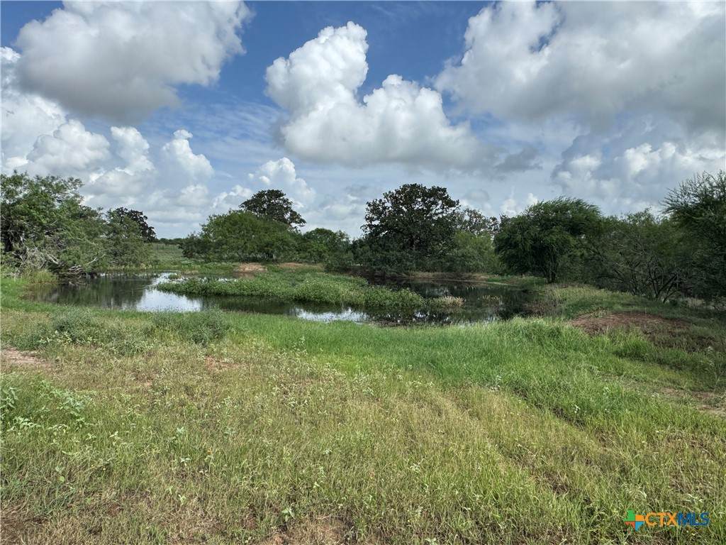 Lot 1-E County Road 491 - Photo 1