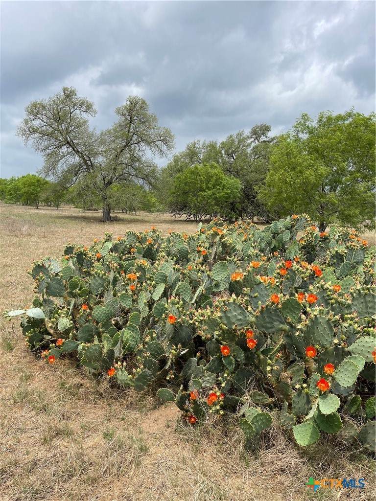 https://bt-photos.global.ssl.fastly.net/centraltx/orig_boomver_2_578417-2.jpg