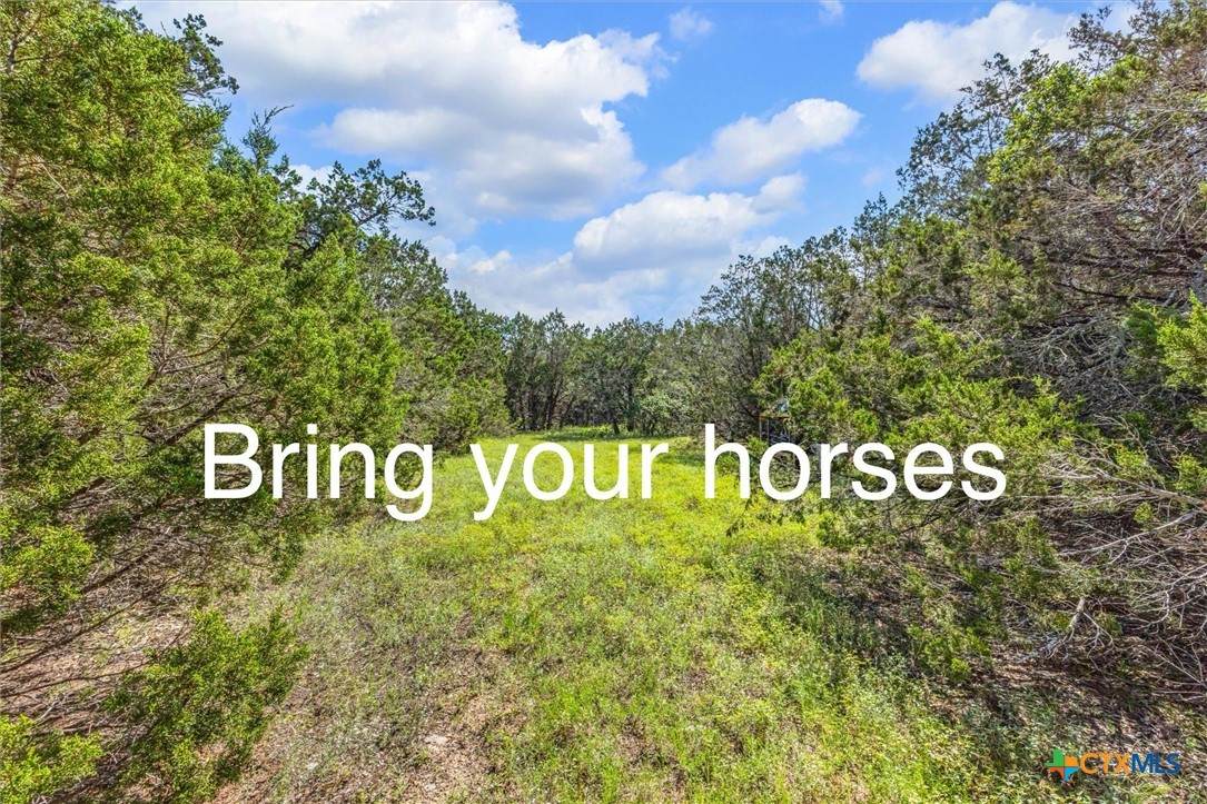 2453 Rainbow Ranch Road - Photo 1