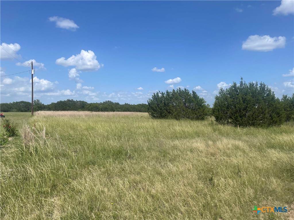 Lot 9 Misty Woods - Photo 1
