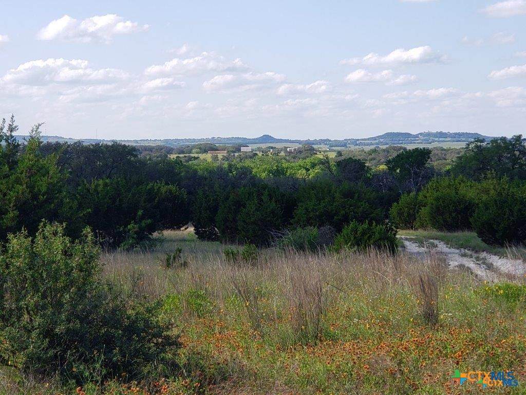 Lot 4 County Road 1255 Pitt Creek Ranch - Photo 1