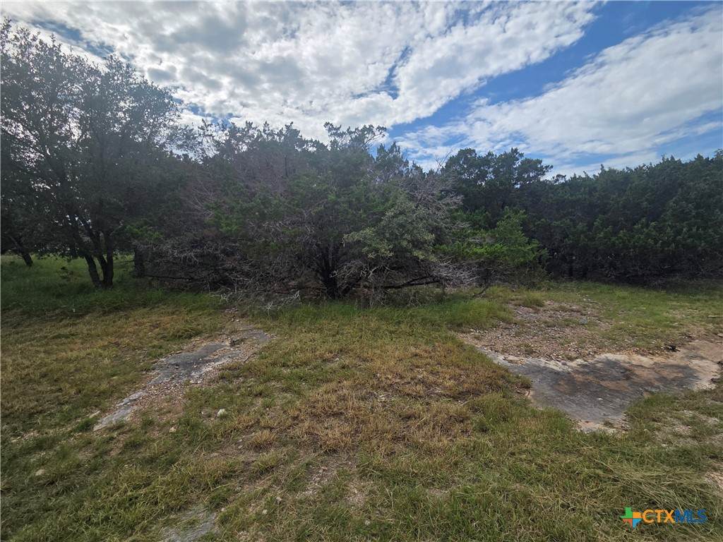 5236 Comanche Drive - Photo 1