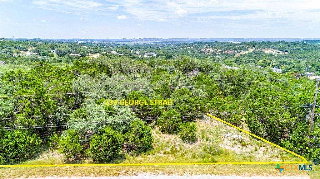 239 George Strait - Photo 1