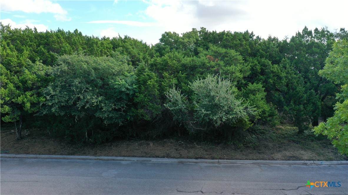 1505 Wildridge Drive - Photo 1