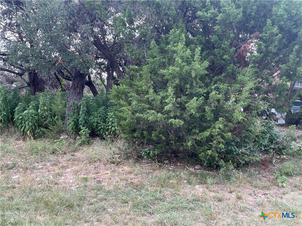 1640 Comfort - Photo 1