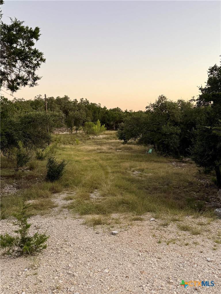 1043 Summit Bluff - Photo 1