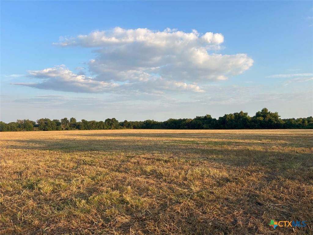 1 Pecan Road - Photo 1