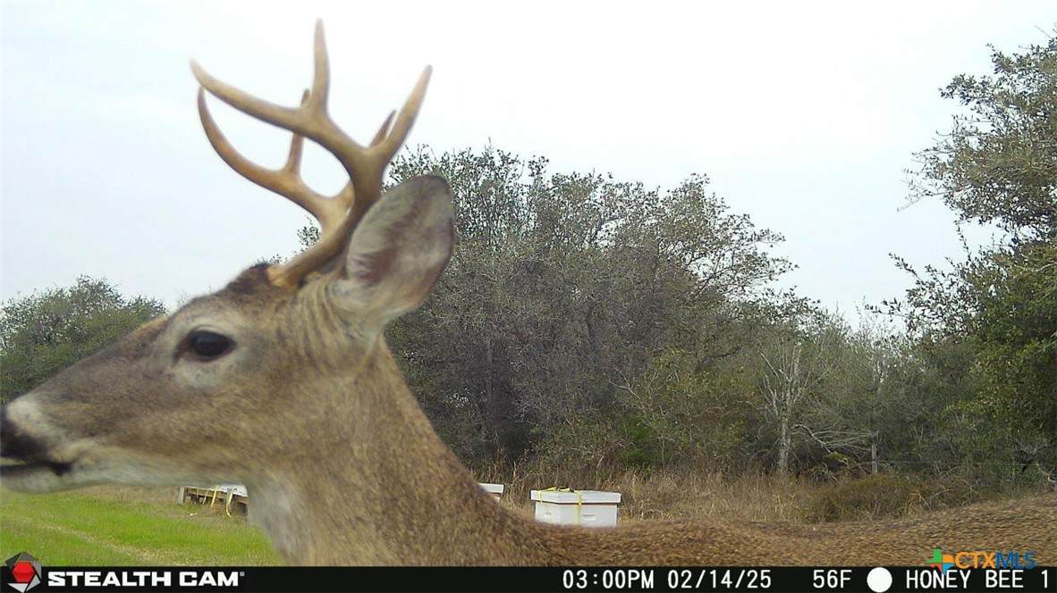 000 County Road 18 - Photo 1