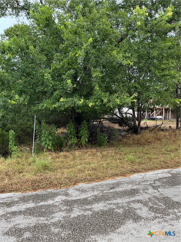 1051 Somerset - Photo 1