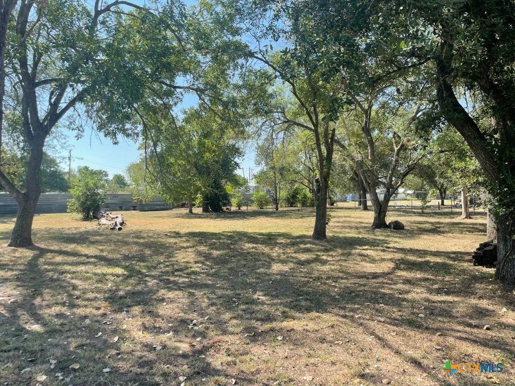 1125 San Marcos Highway - Photo 1