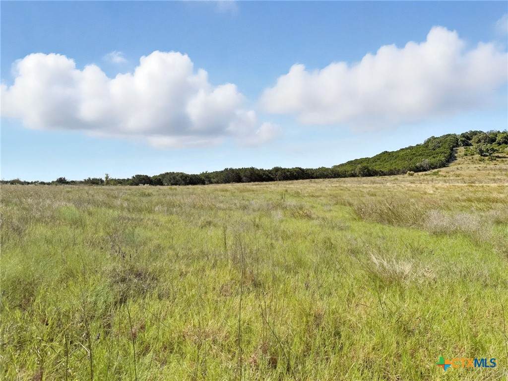 6902 Fm 1690 - Photo 1