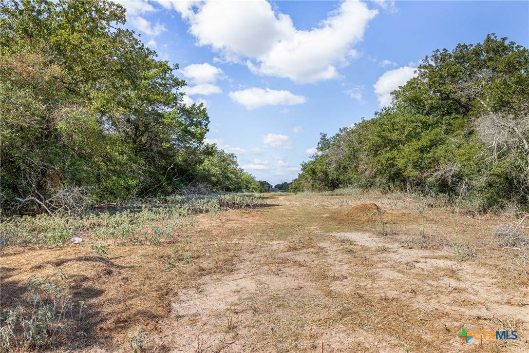 2025 Mule Creek Road - Photo 1
