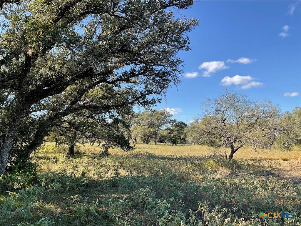 389 Hausmann Road - Photo 1