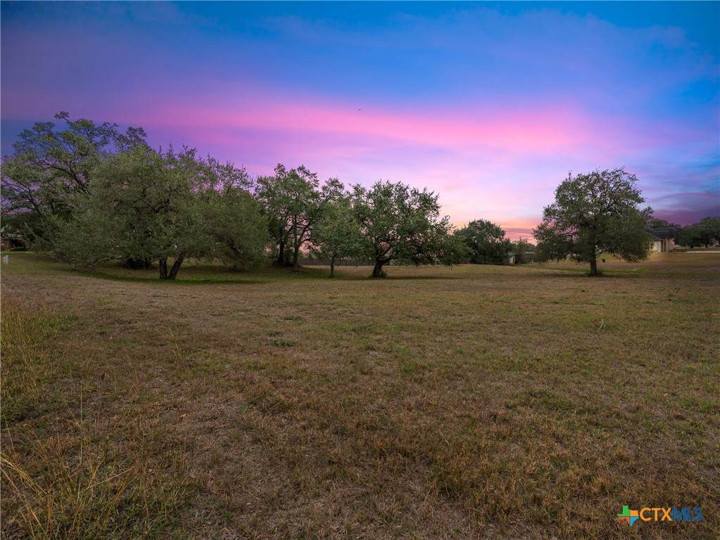 101 & 103 Pin Oak Circle - Photo 1