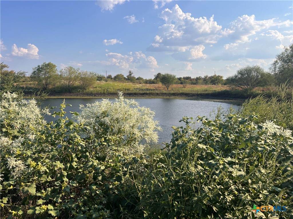 https://bt-photos.global.ssl.fastly.net/centraltx/orig_boomver_1_601185-2.jpg