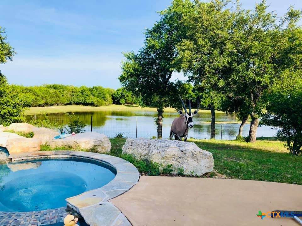6101 County Road 208 - Photo 1