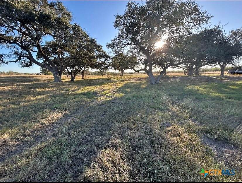 1709 Fm 318 - Photo 1