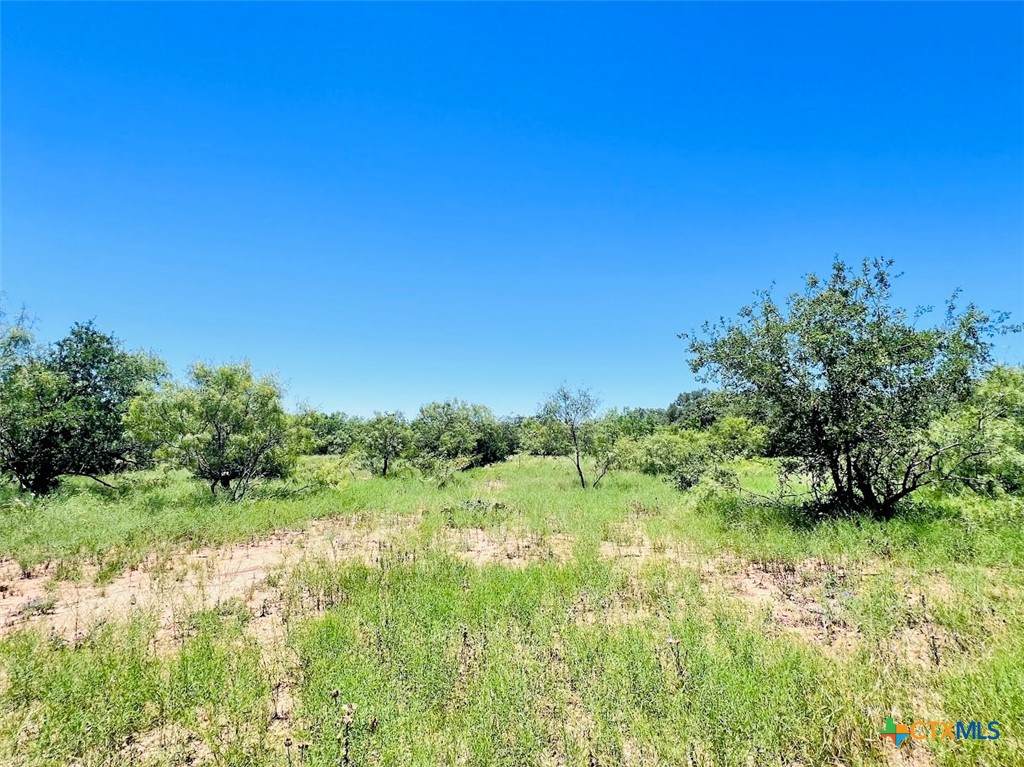 1349 County Road 152 - Photo 1