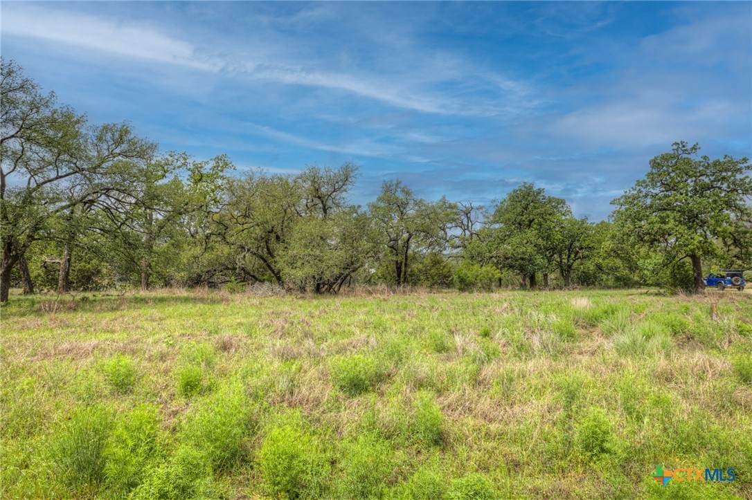 1251 Trailhead - Photo 1