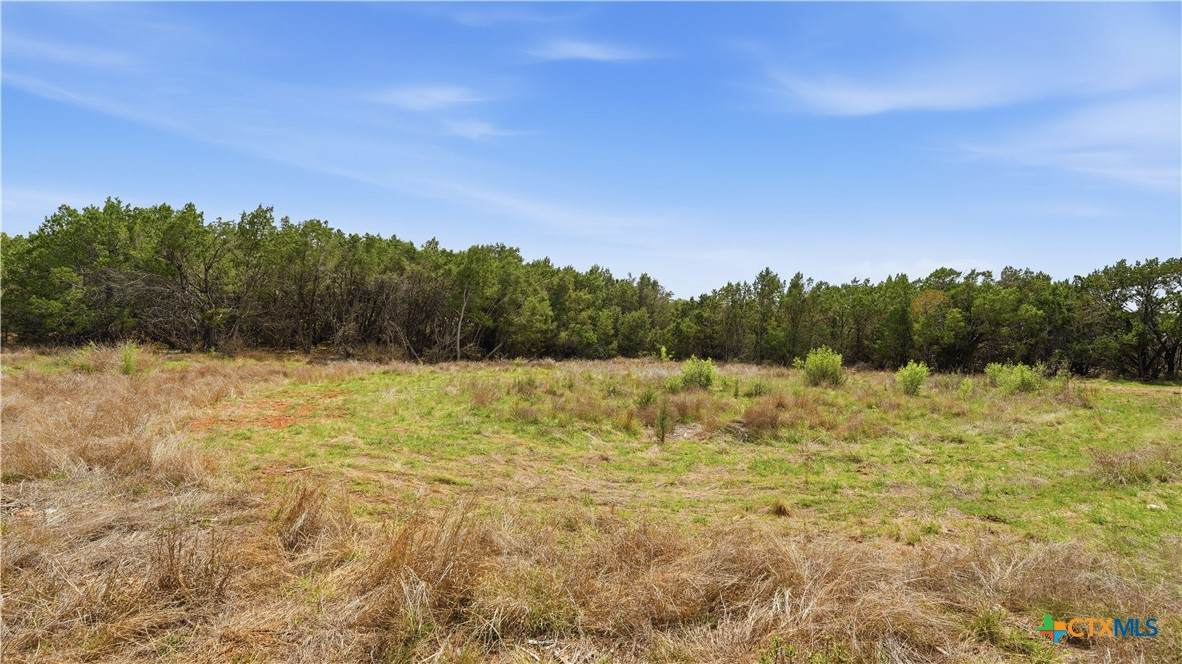 27230 Eichenbaum Road - Photo 1