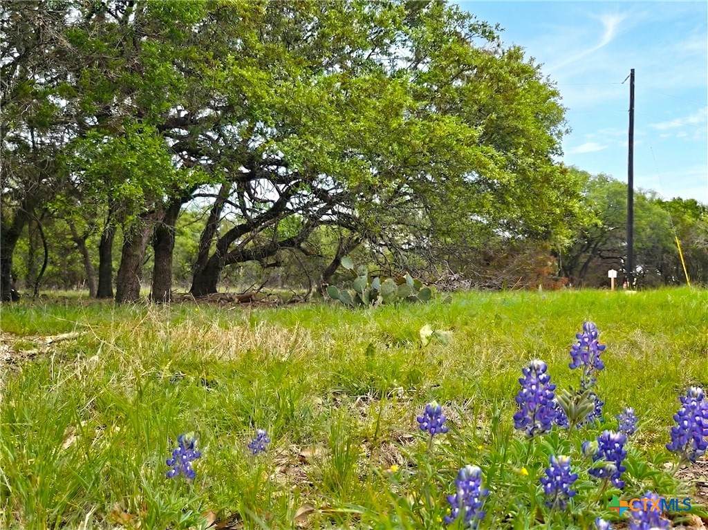 https://bt-photos.global.ssl.fastly.net/centraltx/orig_boomver_2_611036-2.jpg