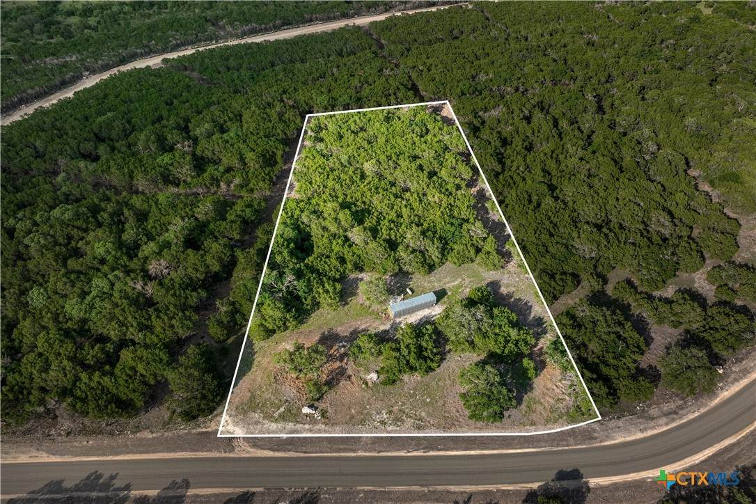 TBD Lot 32 Hank Williams Way - Photo 1