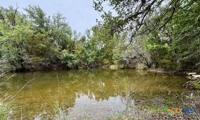 TBD County Road 3270 - Photo 1