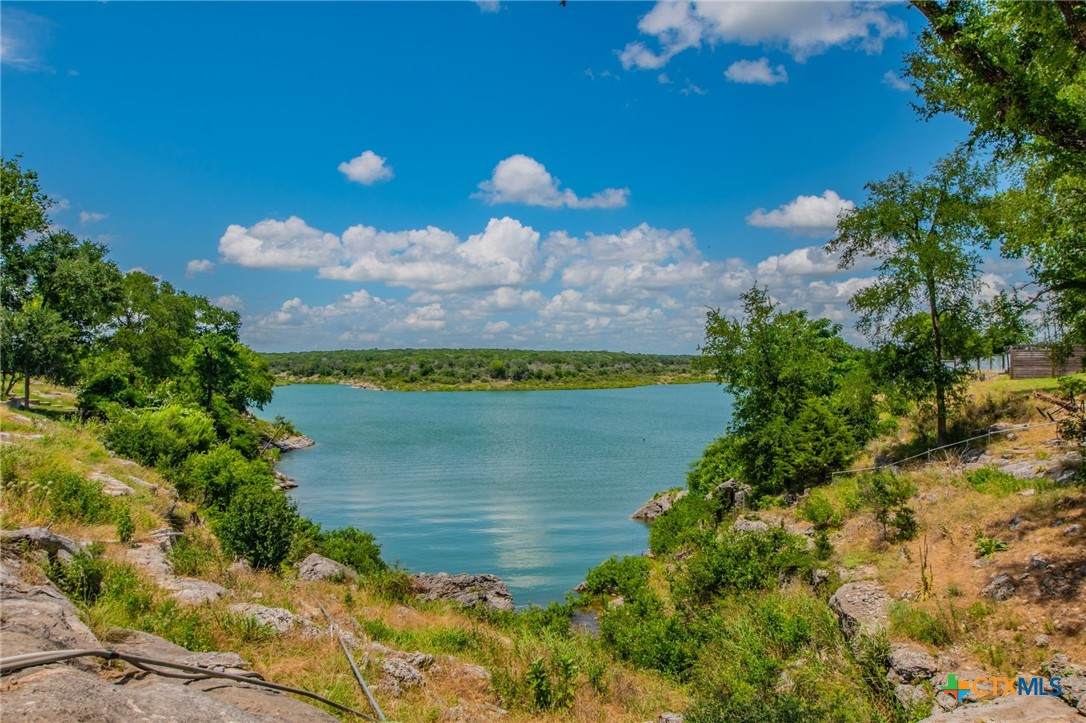 2249 Prickley Pear Road - Photo 1