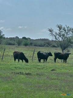 000 County Road 18 30.73 Acres Tract 3 - Photo 1