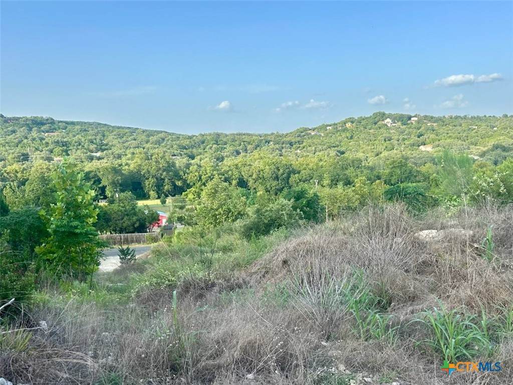 21607 Cold Spring Drive - Photo 1