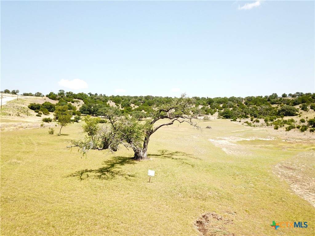 1644 Cottonwood Mesa Drive - Photo 1