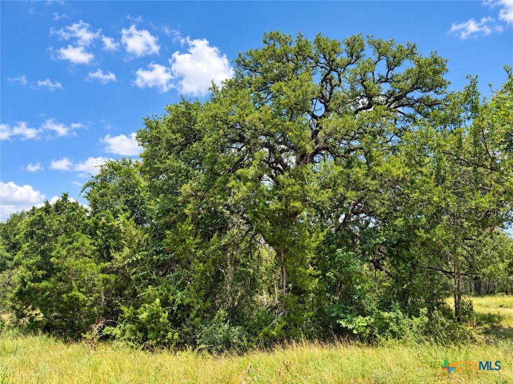 https://bt-photos.global.ssl.fastly.net/centraltx/orig_boomver_2_619872-2.jpg