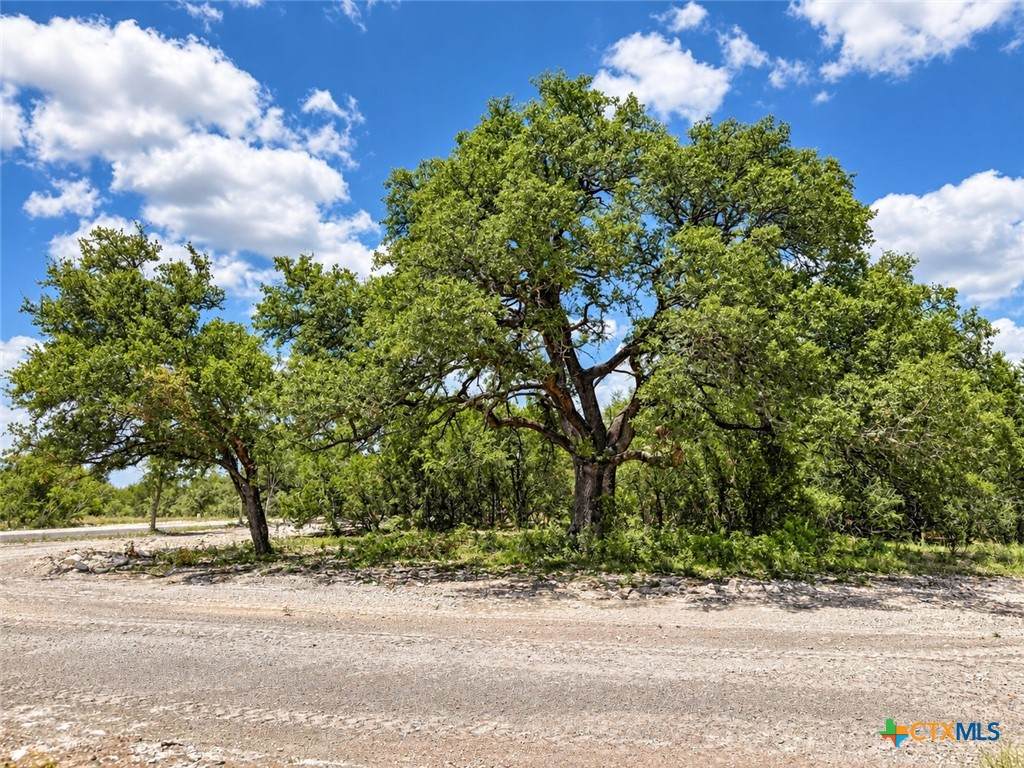 https://bt-photos.global.ssl.fastly.net/centraltx/orig_boomver_2_620484-2.jpg