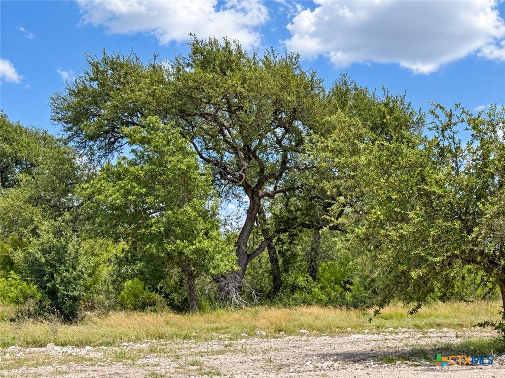 https://bt-photos.global.ssl.fastly.net/centraltx/orig_boomver_2_620679-2.jpg