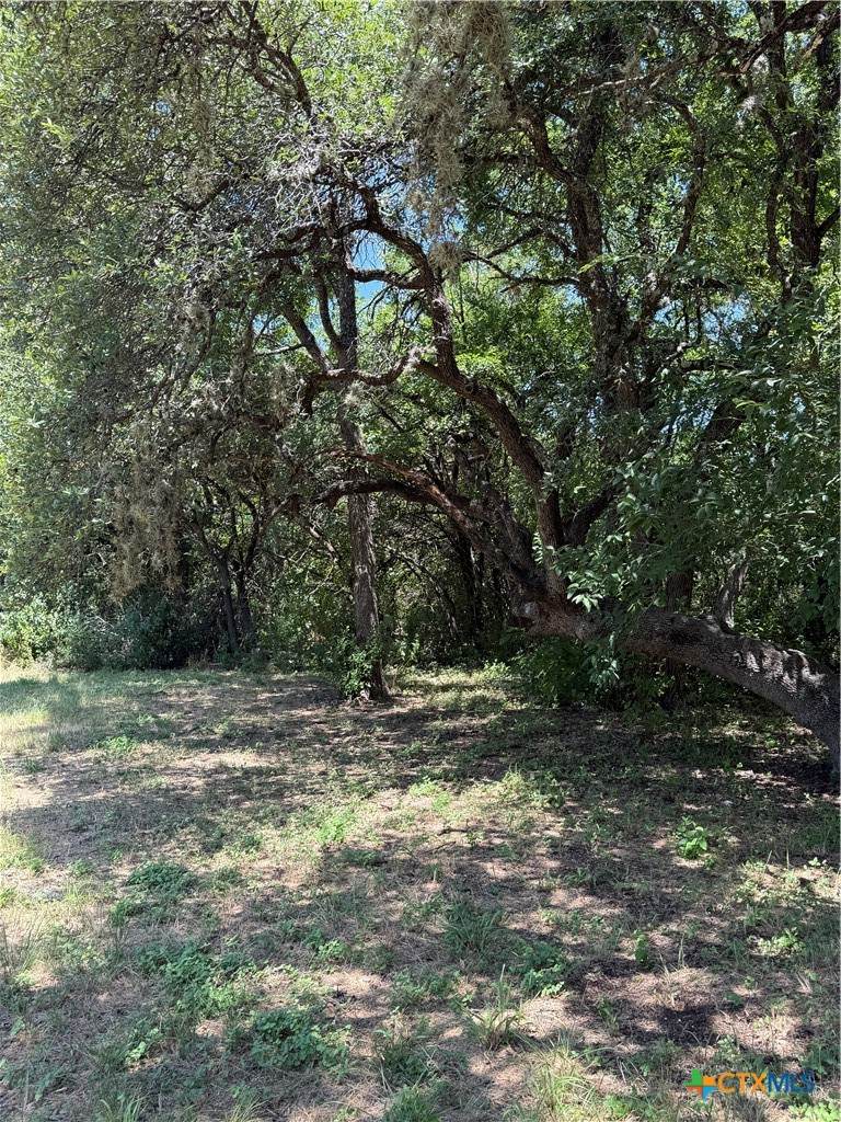 https://bt-photos.global.ssl.fastly.net/centraltx/orig_boomver_2_620956-2.jpg