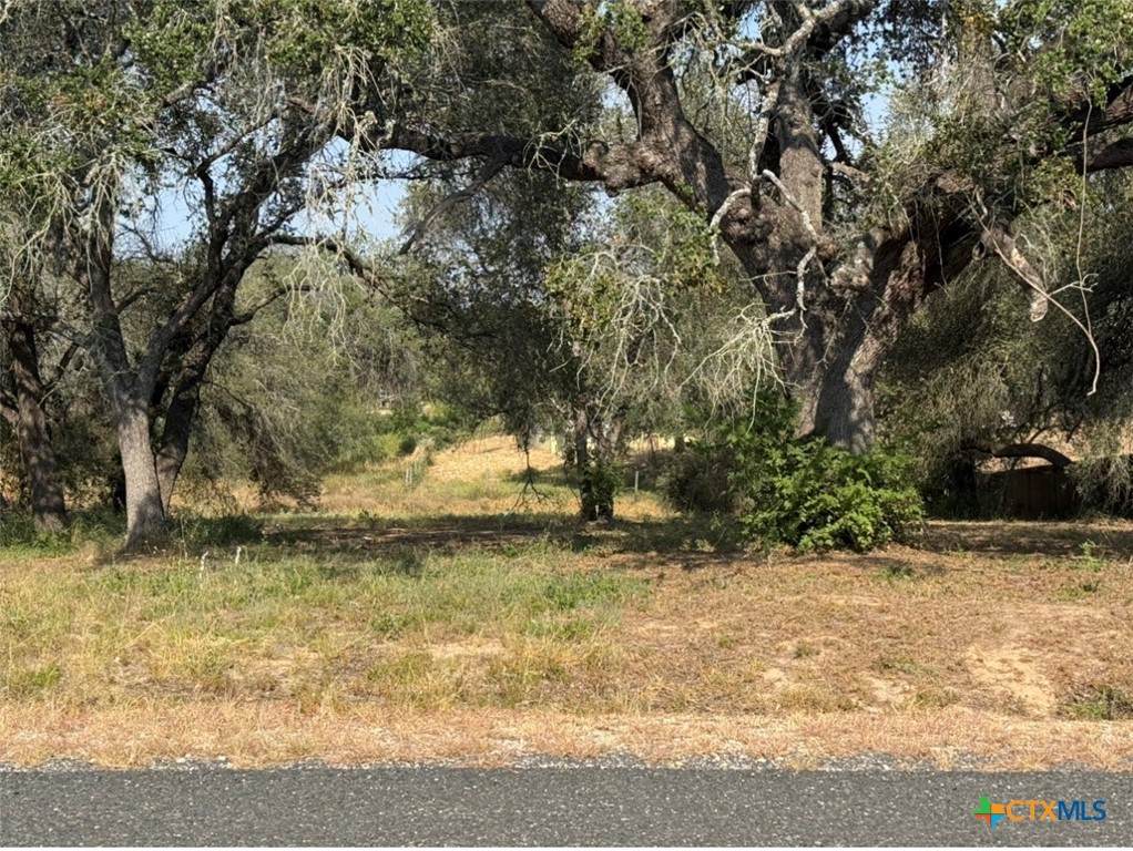 22815 Grand Spring - Photo 1