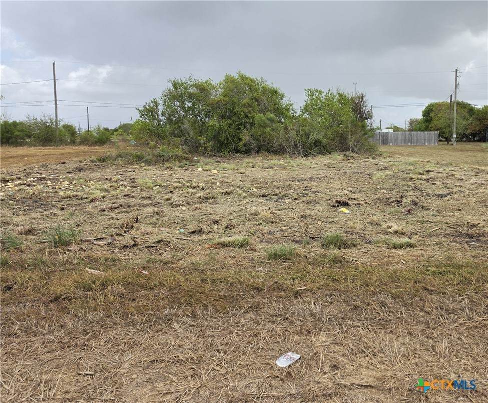 704 Toledo Avenue - Photo 1