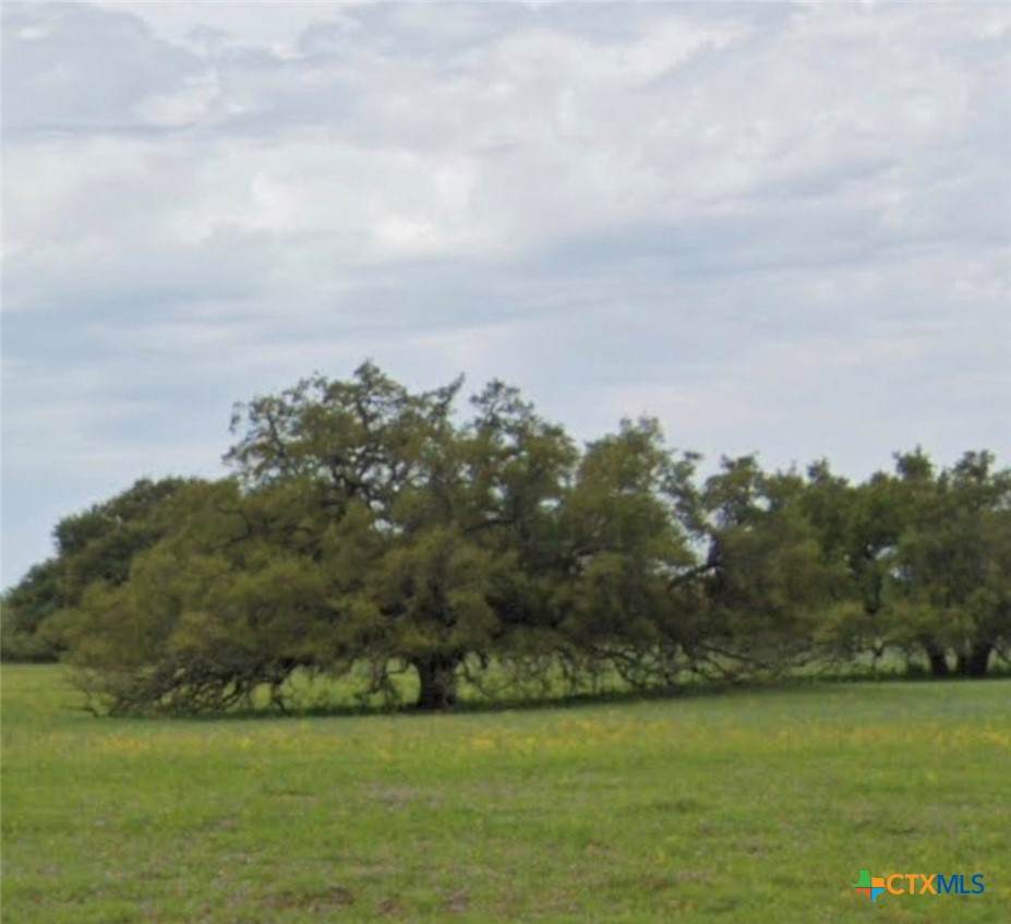 https://bt-photos.global.ssl.fastly.net/centraltx/orig_boomver_3_626001-2.jpg