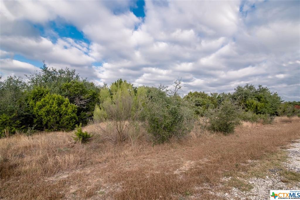 1005 Mystic Breeze - Photo 1